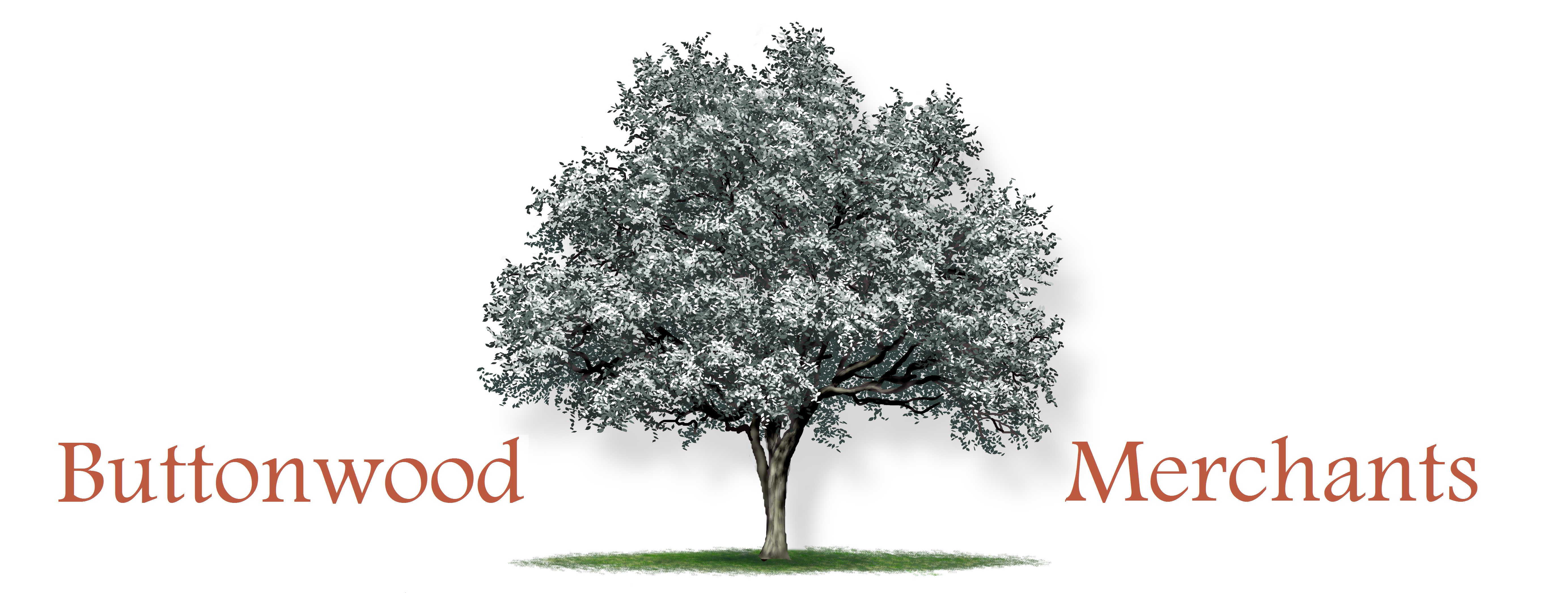 info@buttonwoodmerchants.com